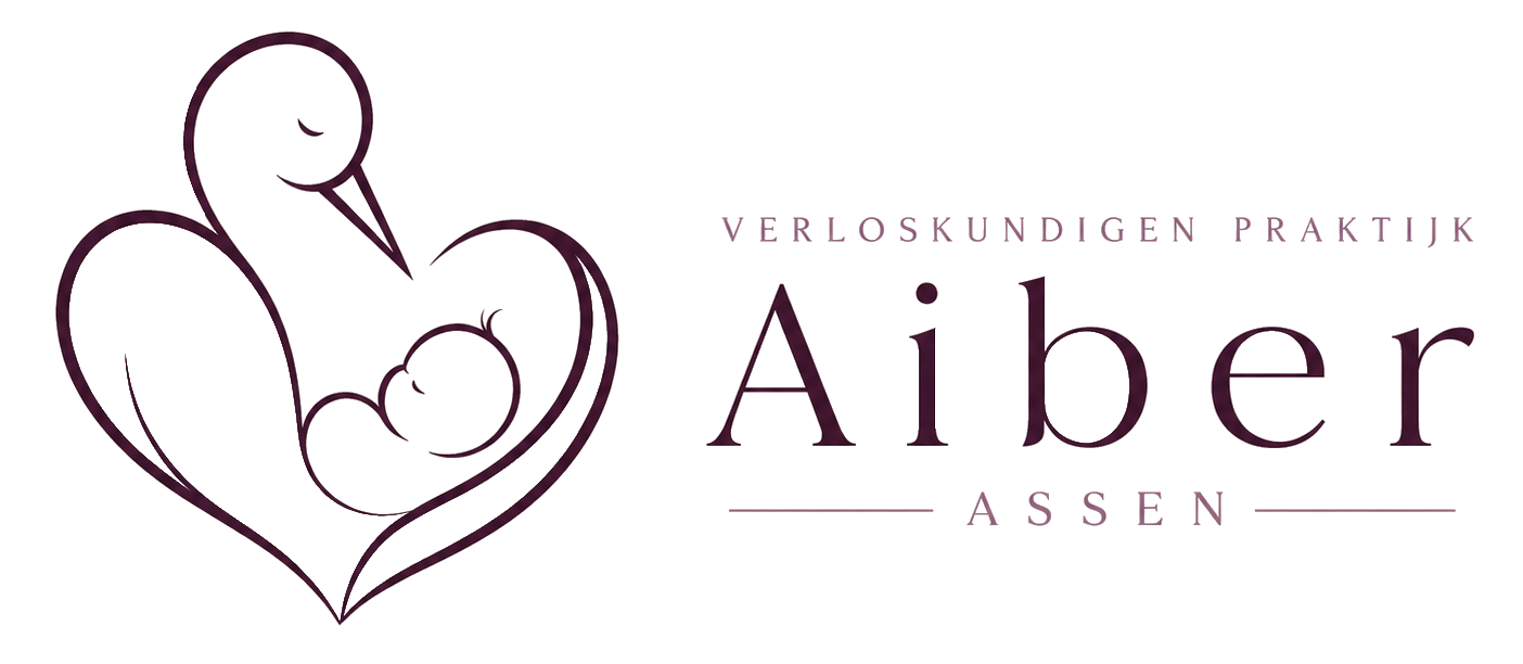 Aiber verloskundigen Assen